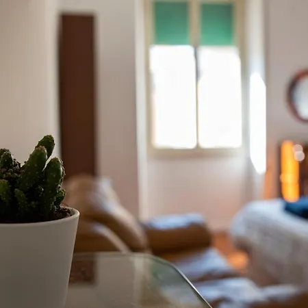 Shiva's Home: A Pigneto Experience